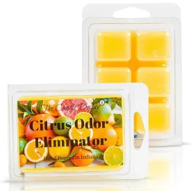 Citrus Scented Odor Eliminating Wax Melts | The Candle Daddy