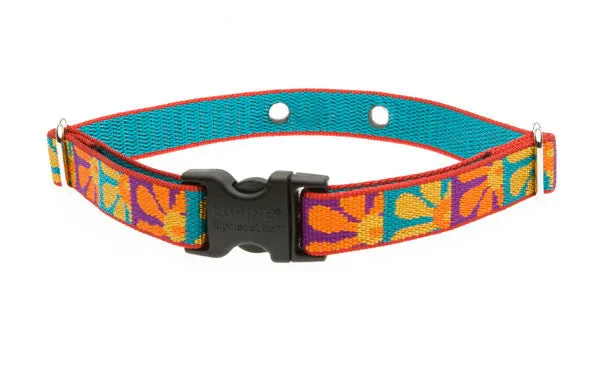 DogWatch Receiver Replacement Collar 3/4" - Crazy Daisy