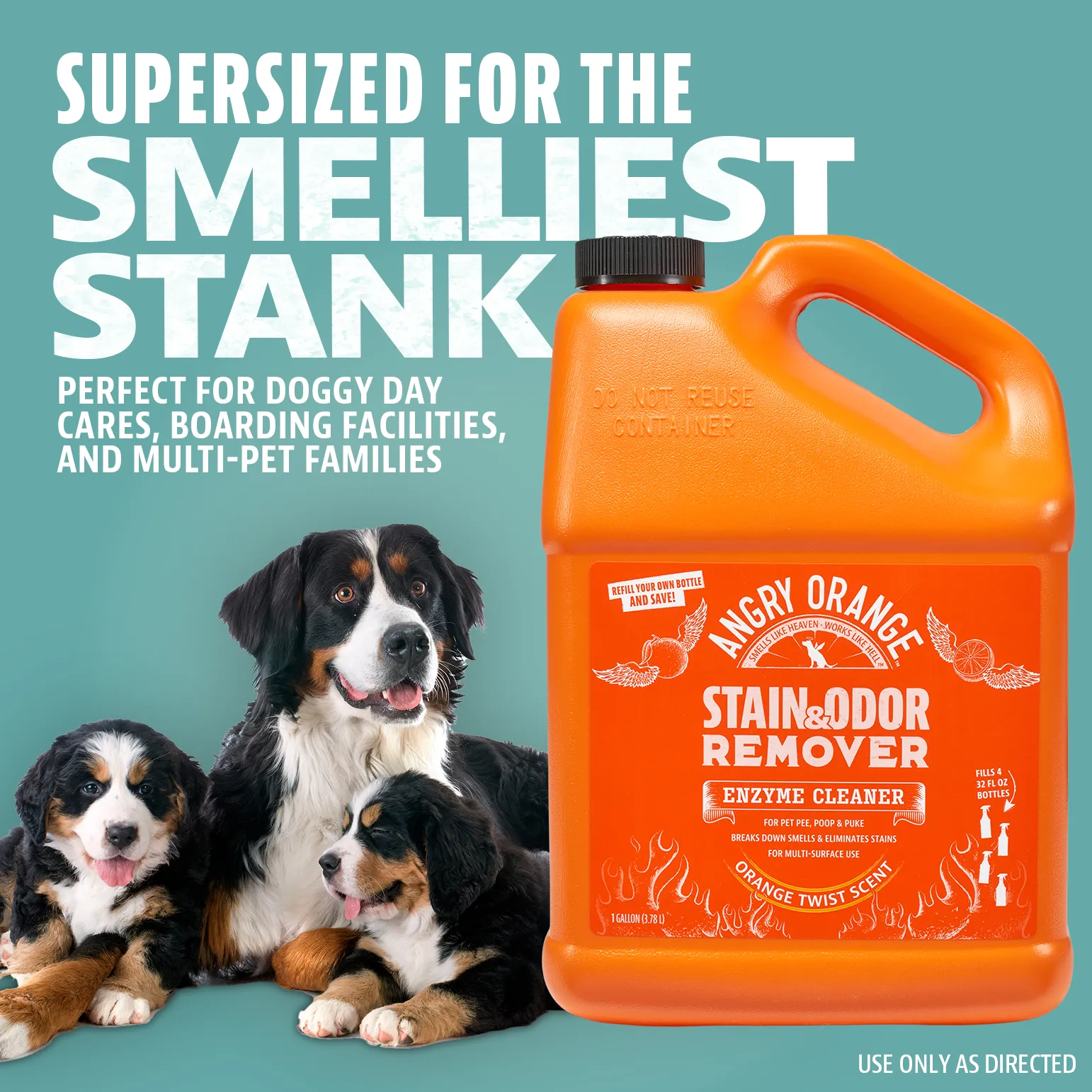 Dual Action Pet Stain & Odor Remover - Gallon Size