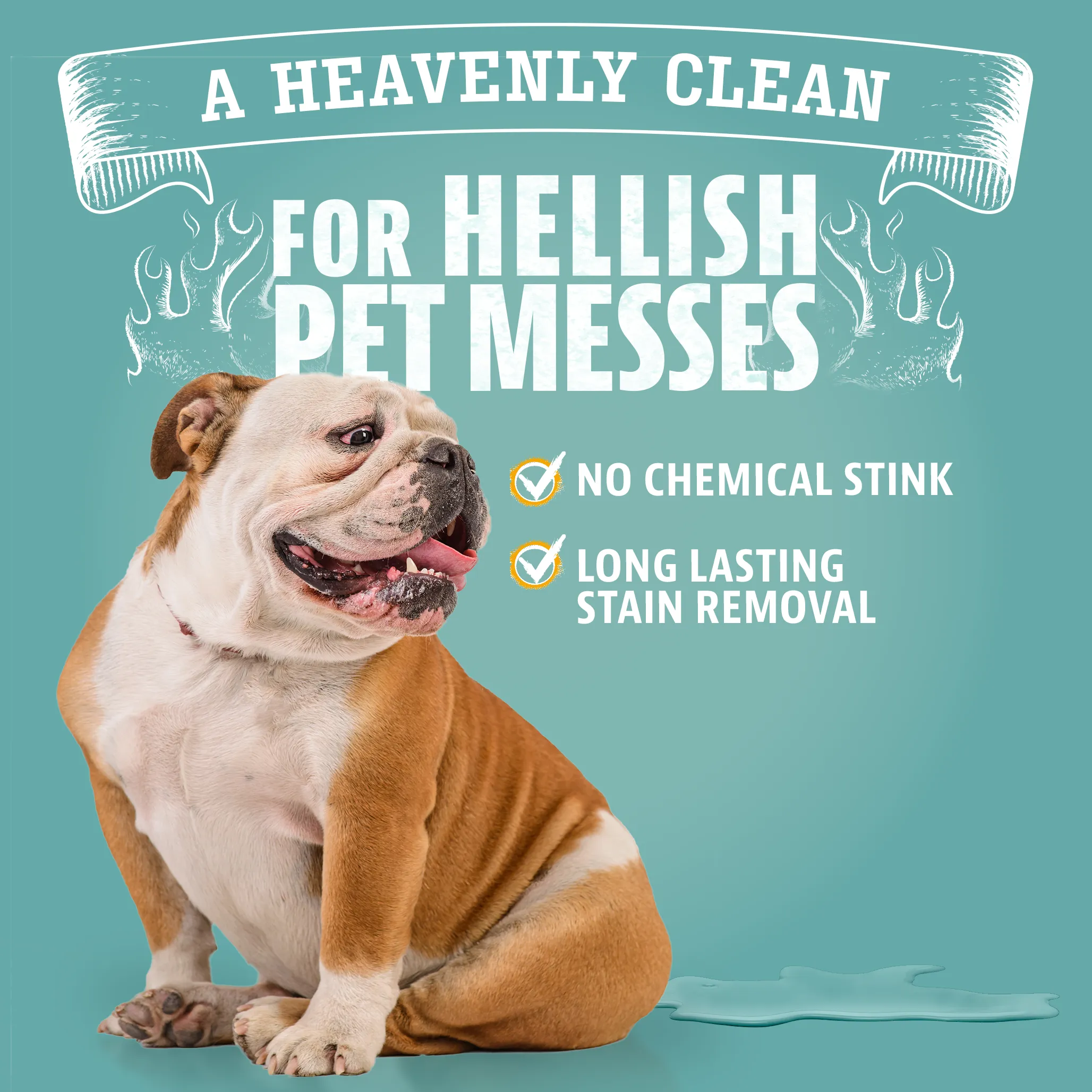 Dual Action Pet Stain & Odor Remover - Gallon Size