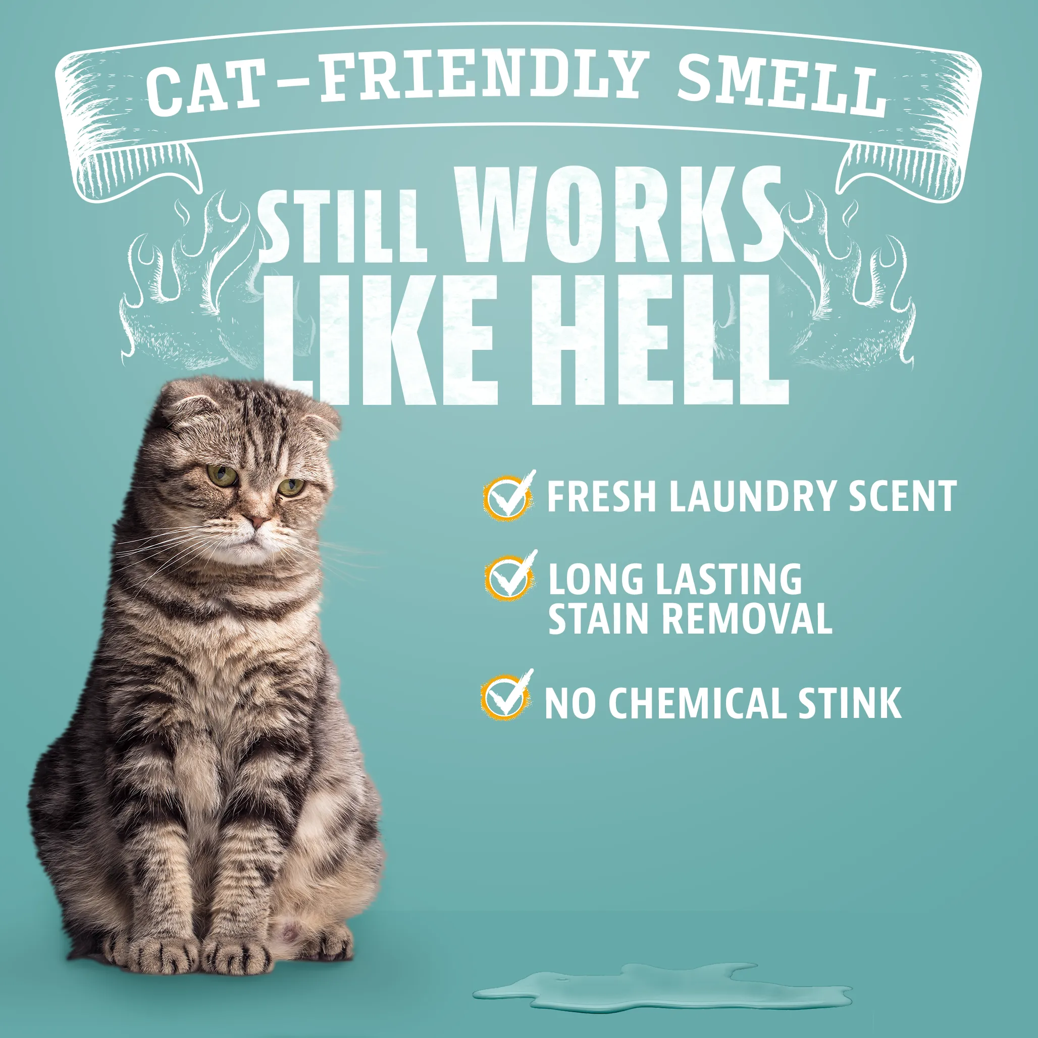 Dual Action Pet Stain & Odor Remover