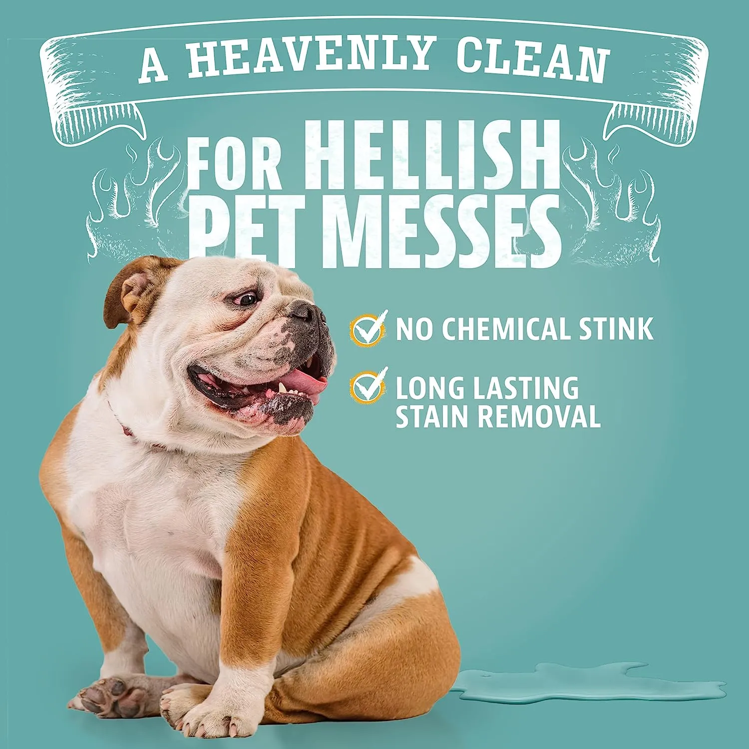 Dual Action Pet Stain & Odor Remover