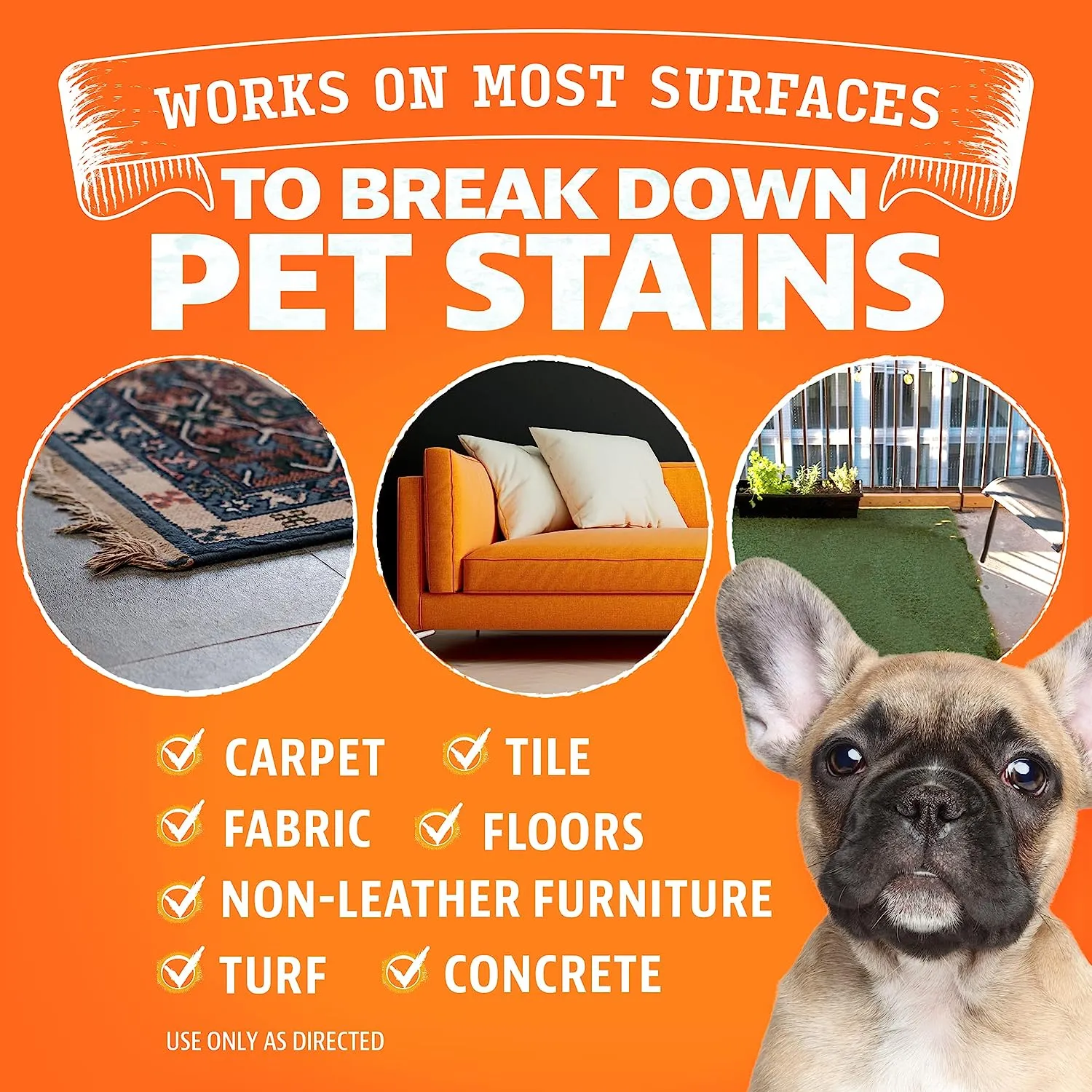Dual Action Pet Stain & Odor Remover