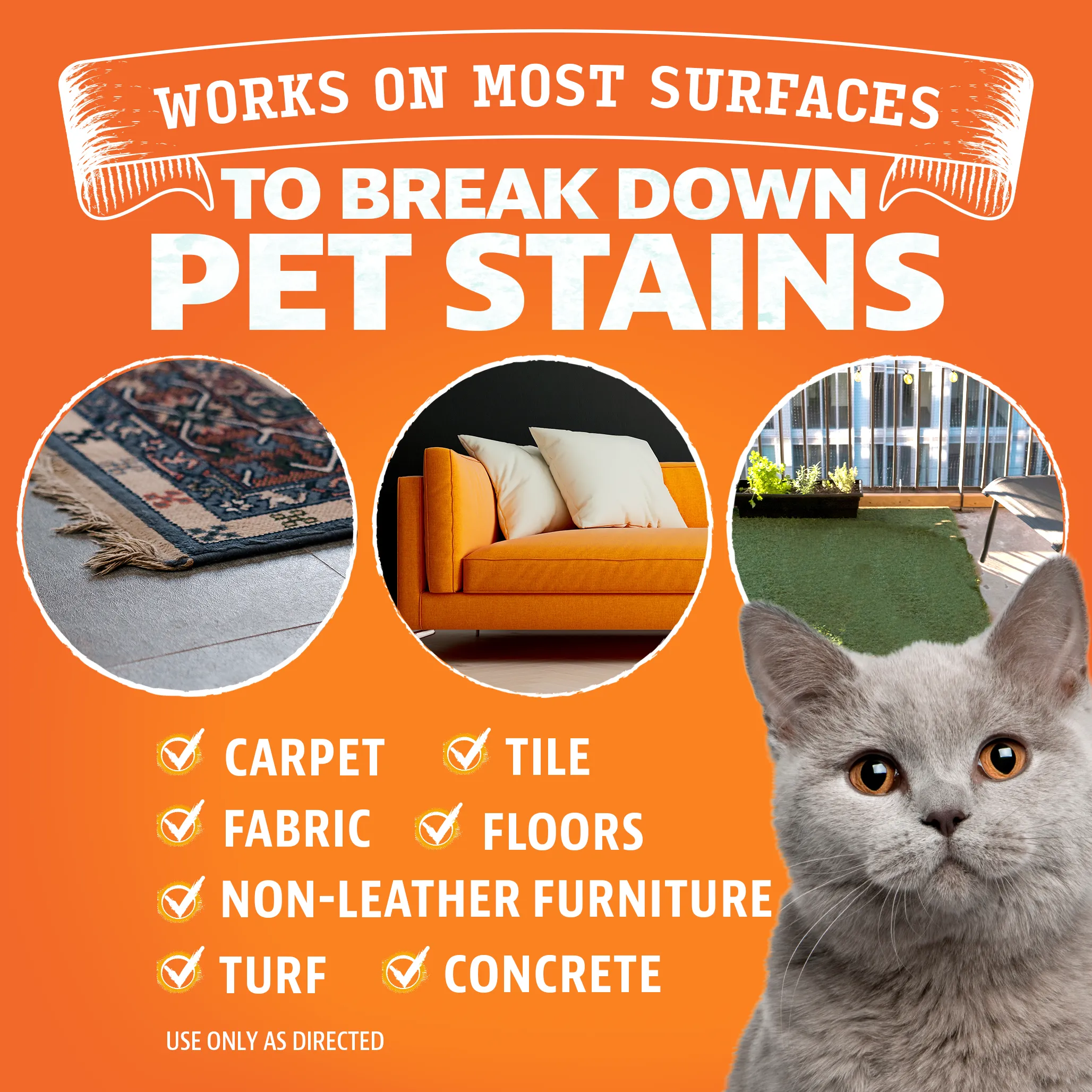 Dual Action Pet Stain & Odor Remover