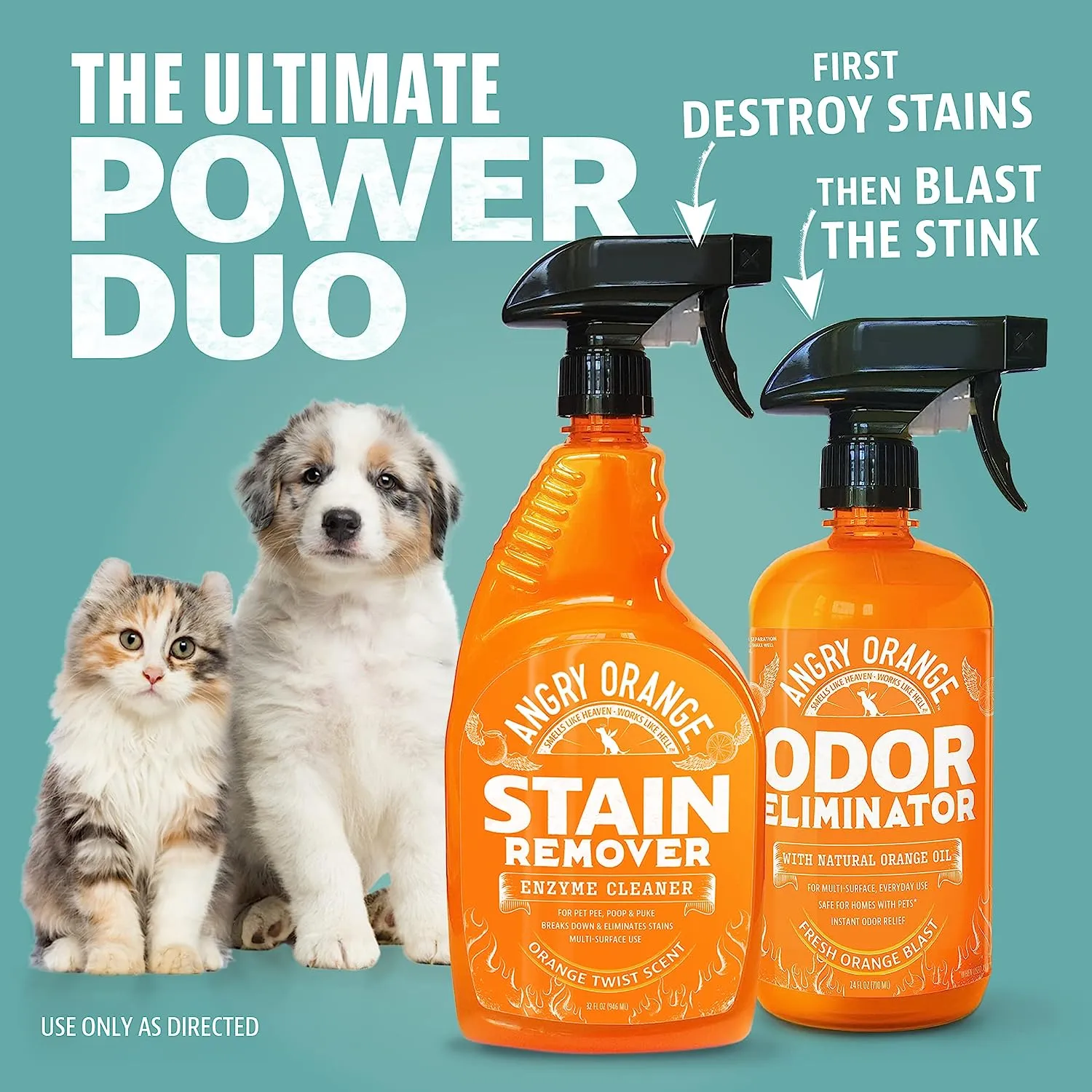 Dual Action Pet Stain & Odor Remover
