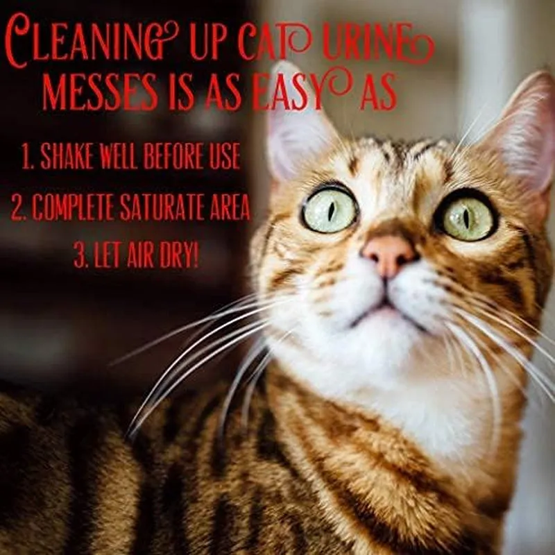 Instantly Urine Odor Remover & Eliminator for Cat Urine - Neutralizer of Cat Pee, Oxidized Based Urine Cleaner Solution for Carpets, Rugs, Mattress, Etc. 32 Oz Bottle (1 Quart)