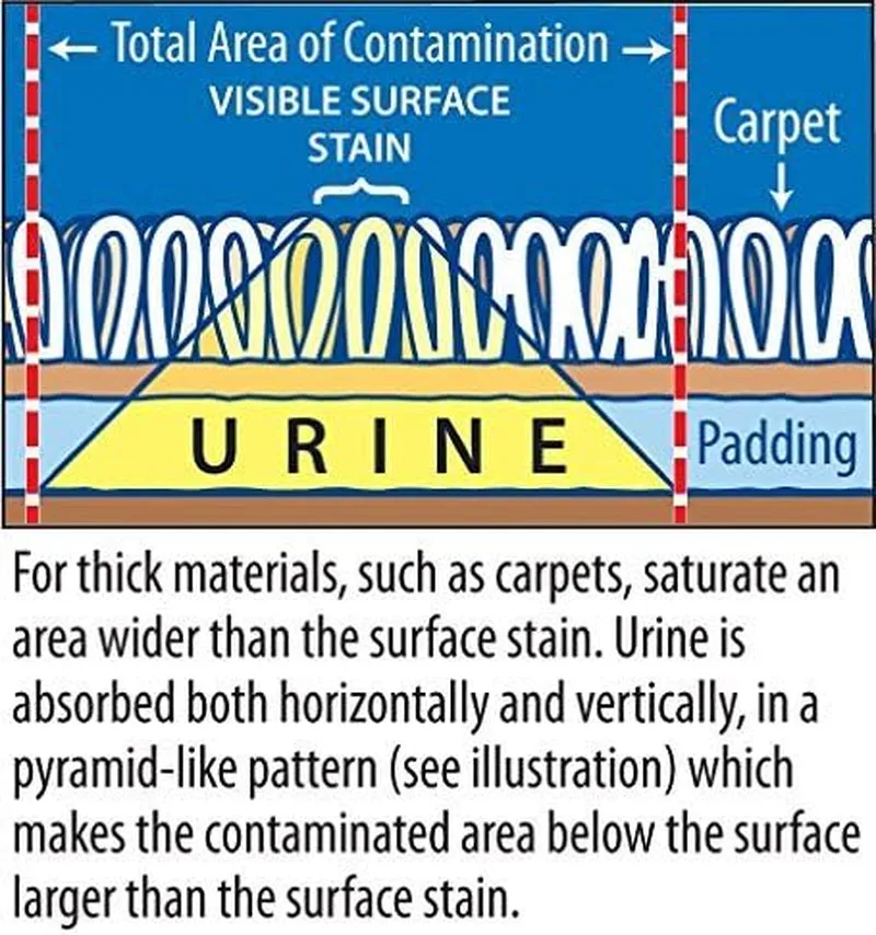Instantly Urine Odor Remover & Eliminator for Cat Urine - Neutralizer of Cat Pee, Oxidized Based Urine Cleaner Solution for Carpets, Rugs, Mattress, Etc. 32 Oz Bottle (1 Quart)